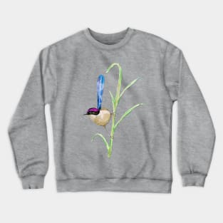 Purple-crowned fairywren Crewneck Sweatshirt